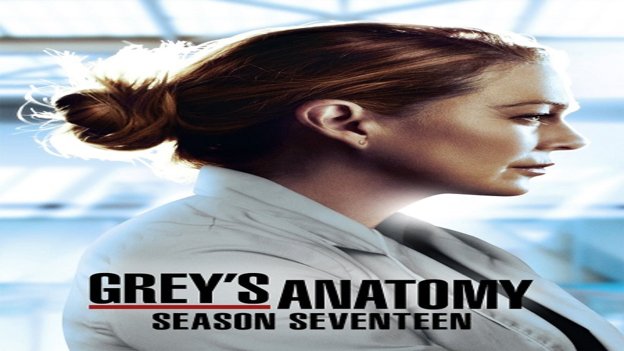 مسلسل Grey’s Anatomy الموسم السابع عشر الحلقة 13 مترجمة كاملة HD